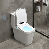 Smart Bidet Toilet Seat