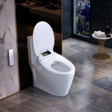 Smart Bidet Toilet Seat