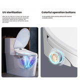Smart Bidet Toilet Seat