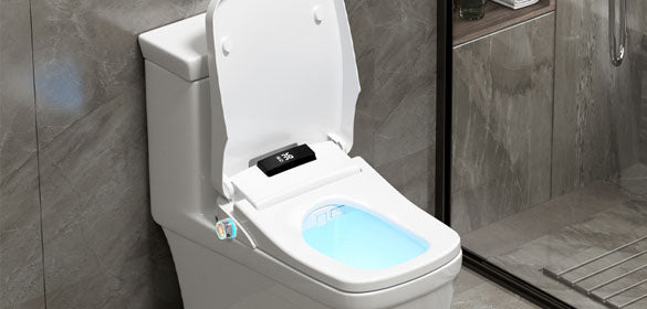 homebidet.com