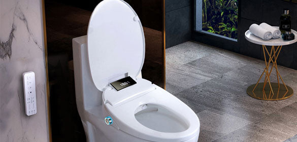 homebidet.com